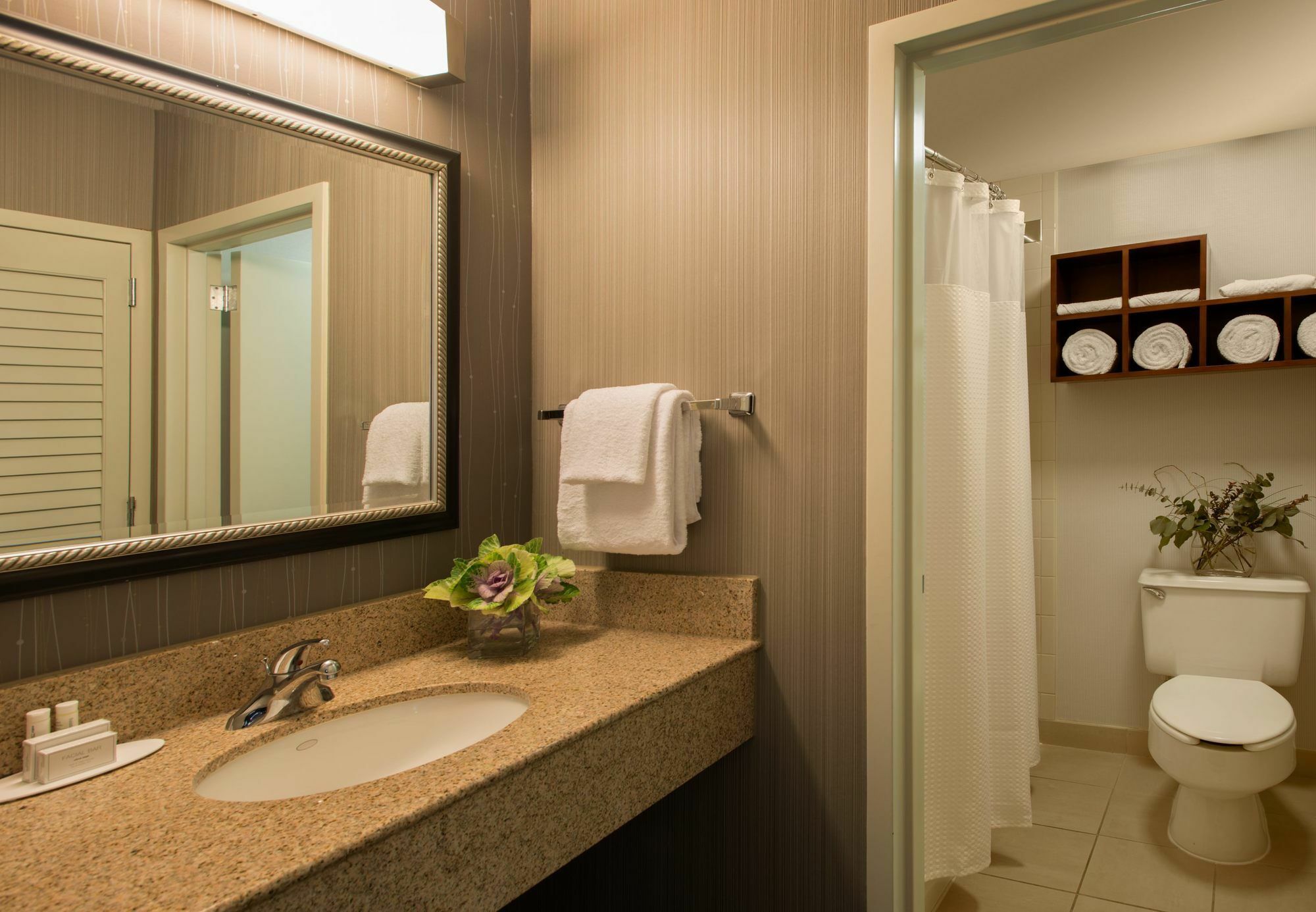Courtyard Dallas Addison Midway Экстерьер фото